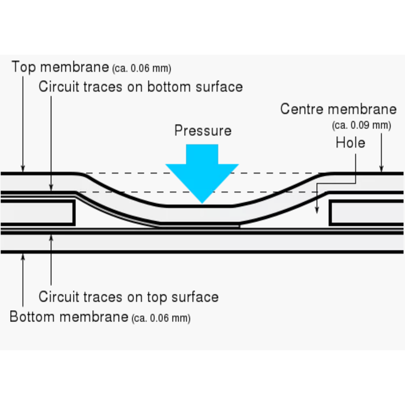 Key Differences Between Membrane and Rubber Dome Switches6